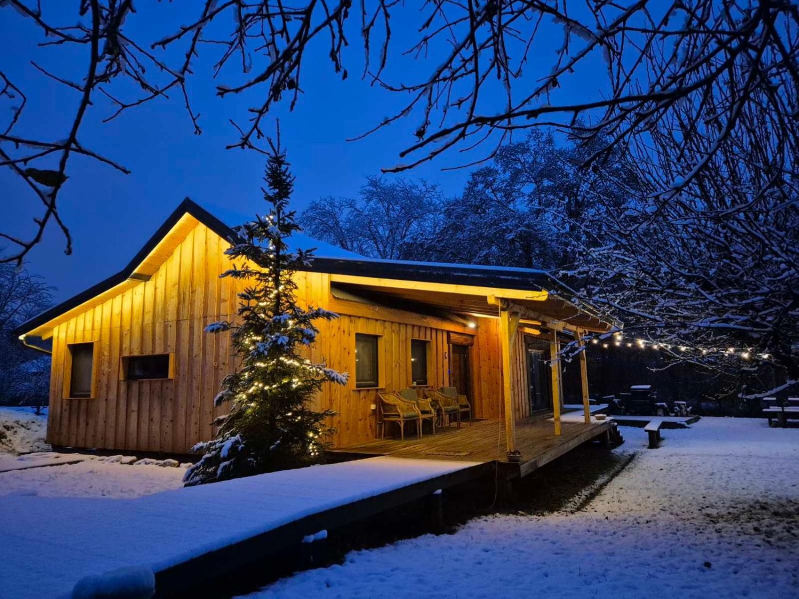 Nica Wood Villa Sremska Kamenica Exterior photo
